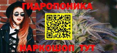 молекула духа Пугачёв
