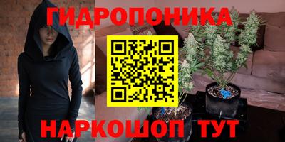 индика Пушкино