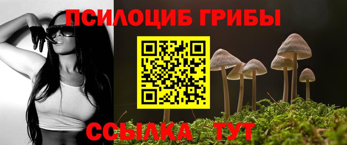 Псилоцибиновые грибы мицелий Раменское